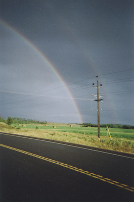 Photo of the Month - Summer 2008